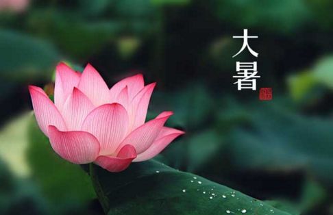 大暑_美誠鋁業 大暑_美誠鋁業